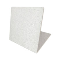 Plafonds suspendus décoratifs en fibres minérales noires, dalles de plafond 15 mm 60x60 pour la décoration