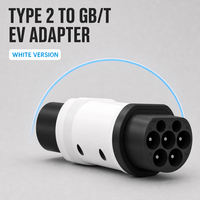 Adaptateur de charge EV Type 2 vers GB/T 16A 220V IP54 Connecteur AC EVSE pour véhicules électriques chinois, station de charge UE, prise portable pour voiture à domicile