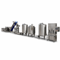 Ligne de production automatique d'eau de coco, extraction à froid, stérilisation UHT, remplissage aseptique, automatisation PLC, usine de boissons