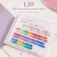 MissGel Nouvelle Arrivée 120 couleurs Vernis à Ongles Magnétique Effet Œil de Chat Sans HEMA Sans TPO Brillance Aurore pour Salons de Manucure Européens