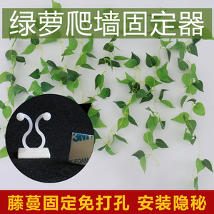 Clips de fixation Chcc Green Ivy autocollants sans clou pour plantes grimpantes, attaches pour câbles, boucles - Product Image 3