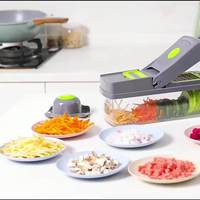 Accessoires de cuisine Mandoline 16 en 1 pour pommes de terre Coupe-oignons manuel Coupe-légumes multifonctions Coupe-légumes