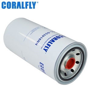 Filtre à carburant diesel OEM haute performance, séparateur d'eau FS53016NN H4110219202A01A2076 pour camions lourds - Product Image 1