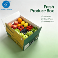 Boîte en carton ondulé rigide en forme d'avion, recyclable, personnalisable pour les fruits