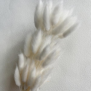 IFG gros bouquet Mini <span class=keywords><strong>Lagurus</strong></span> fleurs séchées naturelles pour mariage vivant décors à la maison - Product Image 6