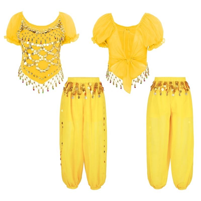 Sample Recitals Womens Belly Dance Costumes 2 Piece Coin Harem Pants Sequin Chiffon ...