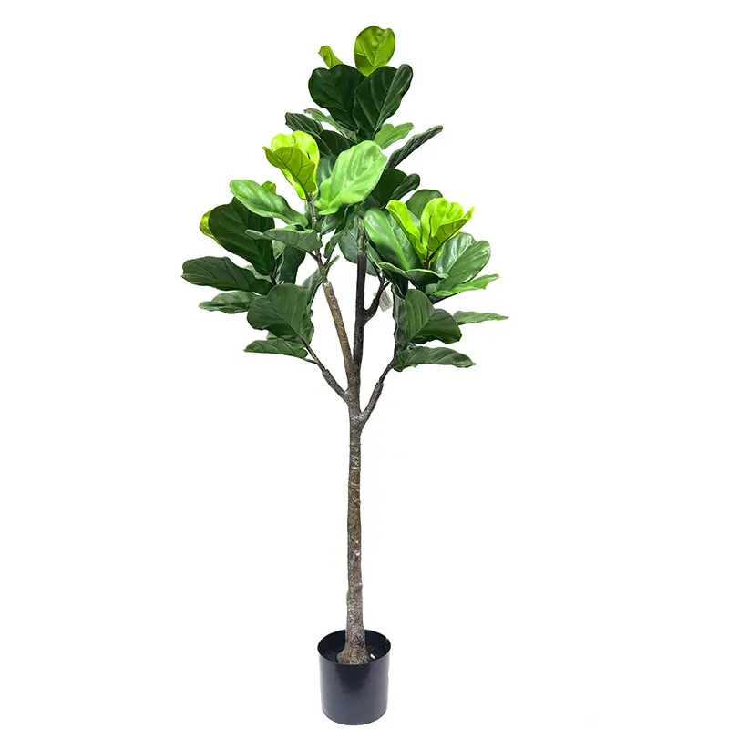 Commercio all'ingrosso albero artificiale quasi naturale Ficus durevole vivido Fiddle-leaf fico per giardino fornitore di decorazioni per matrimonio al coperto all'aperto