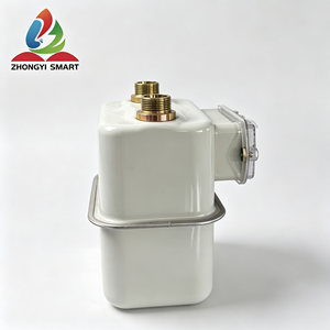 Medidor de Gas Mecánico de Diafragma/Fuelle ZHONGYI de Alta Calidad G1.6 G2.5 G4, Medidor de Flujo Residencial Duradero con Carcasa de Acero Inoxidable - Product Image 5