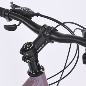 Bicicleta <span class=keywords><strong>Mtb</strong></span> 26 bicicletas de montaña especializadas de descenso con marco de acero al carbono - Product Image 4