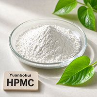 200000cps HPMC Hydroxypropyl Methyl Cellulose Additif Floculant Pureté 99% Agent Chimique Auxiliaire pour Mélange Sec de Construction