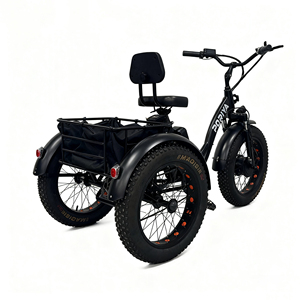 Kit de conversion pour vélo électrique de montagne, vélo électrique à carrosserie ouverte, vélo de ville et cargo, tricycle à gros pneus, 3 roues, 2025 - Product Image 2
