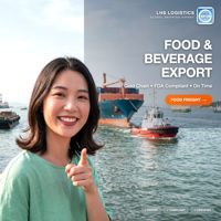 Agent maritime LCL FCL, Supervision du chargement, Expédition la plus rapide depuis Shenzhen, France, États-Unis, Canada, Allemagne, Royaume-Uni, Italie, Exportation maritime