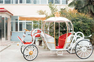 Chariot de princesse <span class=keywords><strong>cendrillon</strong></span> blanc OEM, calèche à cheval utilisé pour mariage, citrouille royale, chariot de tourisme - Product Image 3