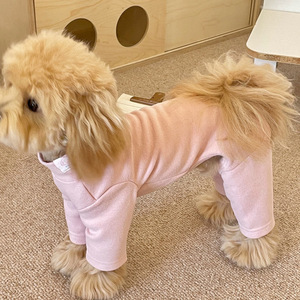 Köpek Kıyafetleri Sonbahar Kış Yeni Stil Alman Kadife Spor Tarzı Süper Yumuşak Sıcak Elastik Tek Parç<span class=keywords><strong>a</strong></span> Dört Ayaklı XS Ev Kullanımı - Product Image 3