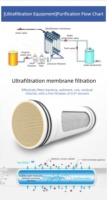 Système de purification d'eau UF à lavage automatique 3000L/H pour toute la maison/la communauté, élimine les bactéries, membrane UF 0,01μm