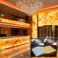 Feuille LED flexible de qualité architecturale à double température de couleur (CCT), découpable, panneau matriciel LED CCT, DC24V 490*245MM pour intérieurs de luxe