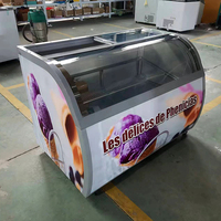 Congélateur horizontal, congélateur à crème glacée, petit réfrigérateur commercial, vitrine pour la vente de crème glacée