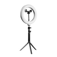 Support de lampe annulaire LED réglable en température de couleur, intensité variable, télécommande, portable, alimenté par USB pour studio de diffusion en direct