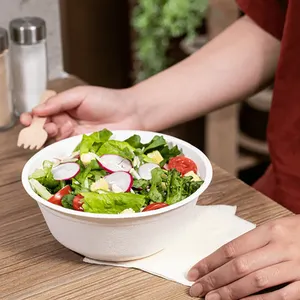 Hete Verkopende Fastfood Biologisch Afbreekbare Bagasse Kom Wegwerp 12Oz Kommen Wegnemen Voedselcontainer Wegwerp Party Bowl