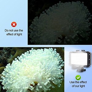Đèn dưới nước lặn ánh sáng <span class=keywords><strong>84</strong></span> <span class=keywords><strong>LED</strong></span> công suất cao thay đổi độ sáng không thấm nước <span class=keywords><strong>LED</strong></span> video ánh sáng không thấm nước 164ft(50m) cho GoPro SLR máy ảnh - Product Image 2