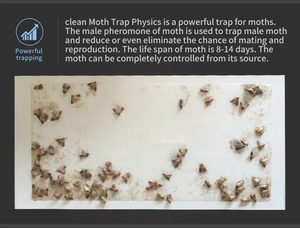 Hot Sản Phẩm Cao Cấp Đôi Mạnh Bẫy Không-Độc Hại & Mạnh Mẽ Vải <span class=keywords><strong>Moth</strong></span> Bẫy Với Pheromone Cho Quần Áo Tủ Quần Áo & Thảm Trường Hợp - Product Image 3