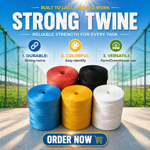 Cuerda <span class=keywords><strong>de</strong></span> Polipropileno <span class=keywords><strong>de</strong></span> Alta Calidad en Oferta, Cuerda <span class=keywords><strong>de</strong></span> Amarre <span class=keywords><strong>de</strong></span> Película Dividida <span class=keywords><strong>de</strong></span> Color, Cuerda para Empacadoras Agrícolas - Product Image 3