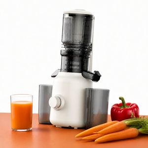 <span class=keywords><strong>Extracteur</strong></span> de jus lent 200W à alimentation automatique avec conteneur de 1000 ml, silencieux, pression à froid, OEM, directement de l'usine, logo personnalisé pour fruits et légumes - Product Image 6