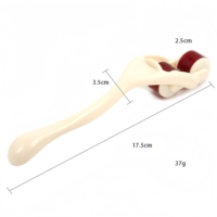Produits SM pour femmes : Rouleaux d'aiguilles pour massage cutané, outils d'entraînement et de stimulation, accessoires romantiques pour une sensation érotique