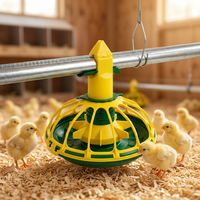 Système d'alimentation automatique pour l'élevage avicole, équipement en plastique PP, garantie 1 an pour les poulets de chair
