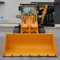 Chargeuse-pelleteuse Liondi D10-20 CE neuve, mini-chargeuse frontale et pelleteuse, vente directe d'usine