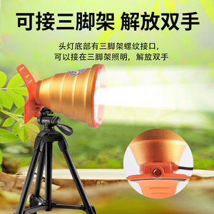 LED 12V - Product Image 4