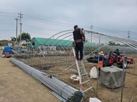 Serre tunnel agricole préfabriquée à arche unique avec structure en tuyaux galvanisés à chaud