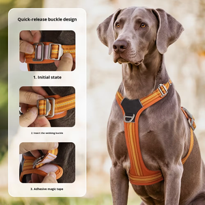 Pettorina per Cani in Nylon Resistente, Riflettente, con Chiusura a Doppia Fibbia, per Uso Esterno, Taglia Grande - Product Image 6