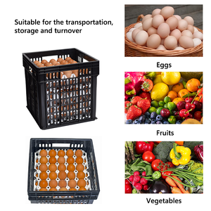 PP Plastic <strong>Egg</strong> Transport Crate Chicken Poultry Shipping Case Convenient Transport Tray Storage <strong>Box</strong> for <strong>Egg</strong> Storage - Product Image 5