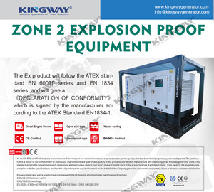 Cung cấp 300kva 400V 50Hz 3 pha 4 dây động cơ diesel EX-Proof ATEX khu vực 2 đánh giá dnv Máy phát điện ngoài khơi - Product Image 5