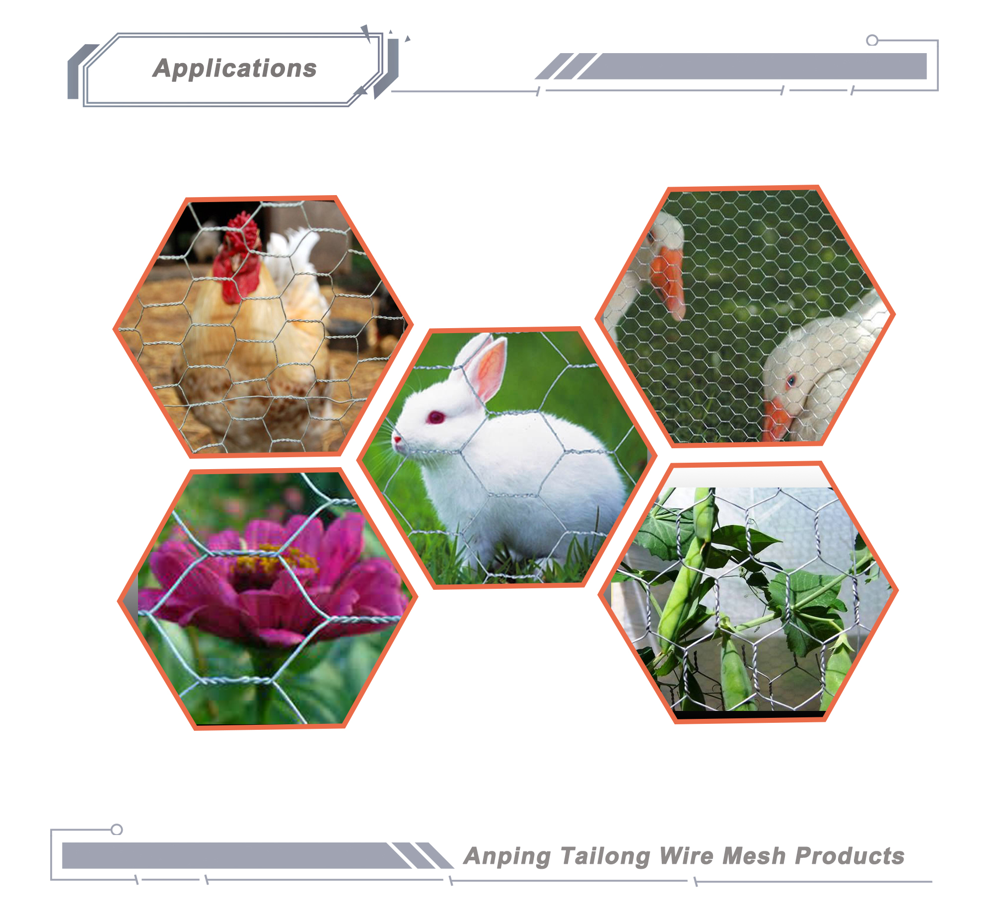 TLSW Galvanized Hexagonal Wire Netting Chicken Wire Mesh BWG22