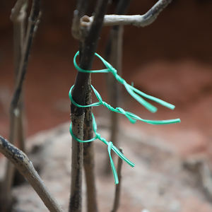 Supports <span class=keywords><strong>de</strong></span> plantes en plastique réglables avec clips pour tomates, fleurs et légumes – Idéal pour l'entraînement des plantes en intérieur et en extérieur - Product Image 1