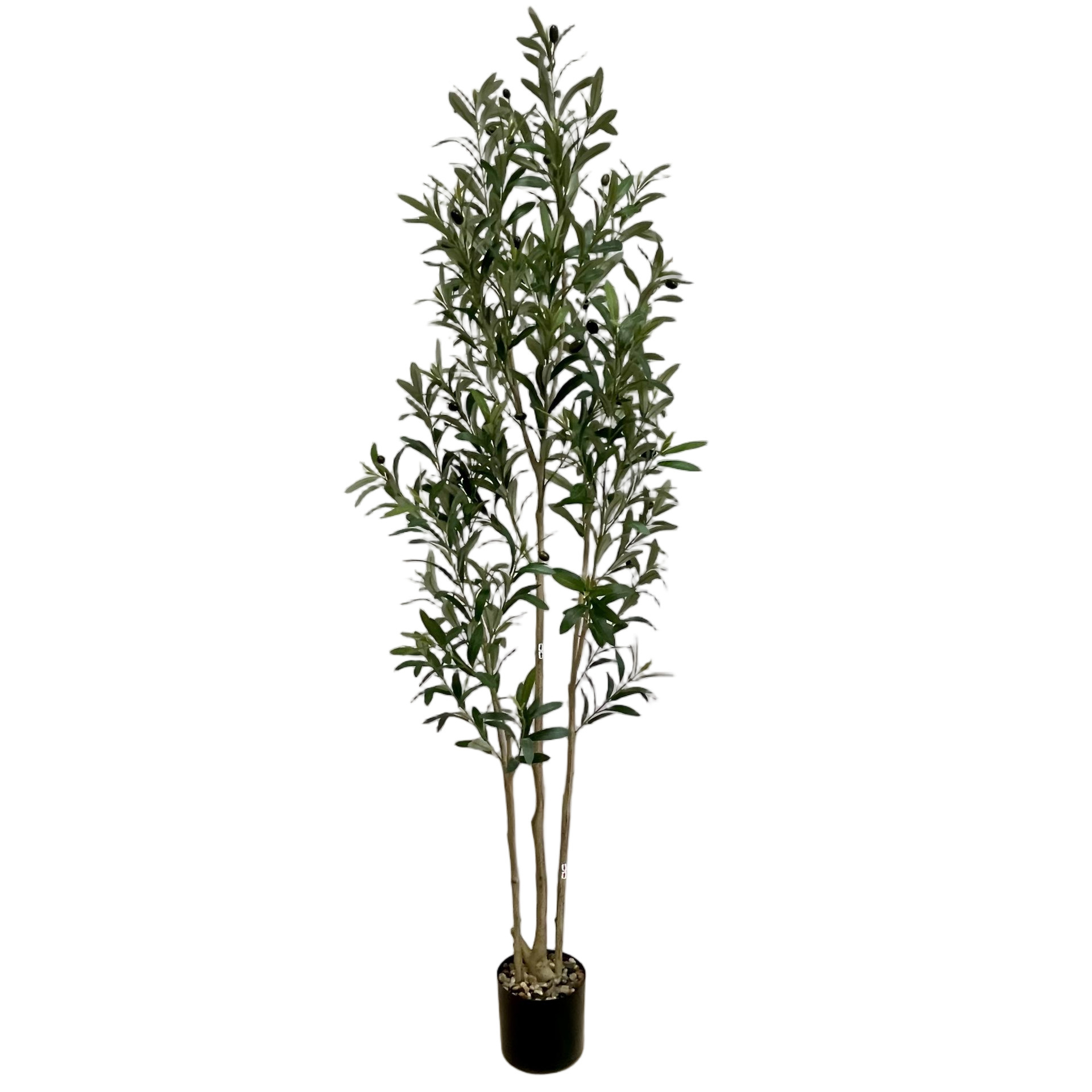 Modelo C de 180 cm.