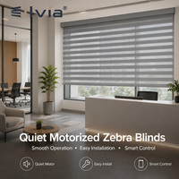Stores zébrés motorisés, stores intelligents pour fenêtre, télécommande, lumière
