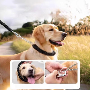 Collier et laisse pour chien ONESTEP, très vendus, pour Golden Retrievers et Labradors, adaptés aux races moyennes à grandes - Product Image 1