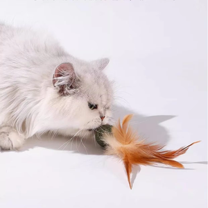 لعبة كرات النعناع البري المضغوطة الطبيعية لعبة الحيوانات الأليفة متينة ومستدامة لتحفيز القطط لأصحاب الأسماك - Product Image 2