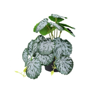 Senmasine Monstera <span class=keywords><strong>Spathiphyllum</strong></span> Pothos taro เงิน Begonia ใบแตงโมพืชใบพืชในหม้อ - Product Image 3
