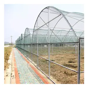 Serra agricola all'aperto del Polytunnel 40x100 grande serra per la semina del fiore della frutta della verdura