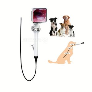 SY-P029-3 Endoscópio Veterinário para Ovinos/bovinos Endoscópio Gastrointestinal para Endoscópio Animal para Bovinos Vaca Cavalo - Product Image 1