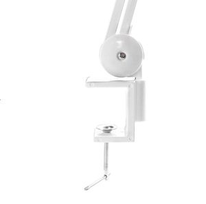 सैलून की दुकान के लिए 81 एलईडी लाइट के साथ 5 इंच की त्वचा - Product Image 5