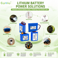 Batterie 7,4 V 18650 5200 mAh Li-ion personnalisée OEM pour scanner de codes-barres portable, dispositif médical, IoT – Vente en gros