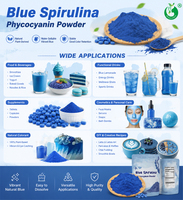 Pincredit fournit de la poudre de phycocyanine bleue de spiruline E6 E18 E25 E40
