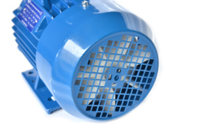 Motor de Inducción Trifásico HONGMA 56-355, 50/60Hz, Otro Voltaje, Eficiencia IE1, Marco de 42mm, Montaje con Soporte - Product Image 2