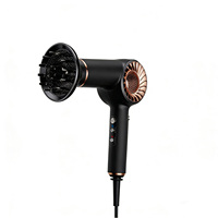 Sèche-cheveux professionnel BLDC à flux d'air haute vitesse et outil de coiffage pour un résultat léger et pratique en voyage d'affaires