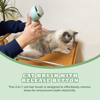 Peigne à cheveux en spray 2 en 1 pour le contrôle efficace de la perte de cheveux Brosse antistatique pour l'épilation à la vapeur du chien et du chat